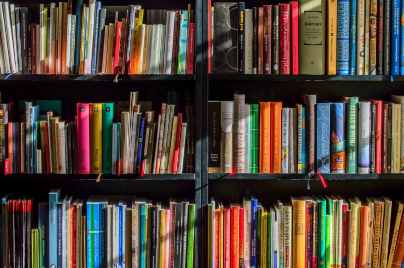 boutique-UTELLE-min_books_bookstore_book_reading_shop_writer_sale_books_read-822866